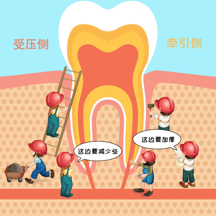 隐适美 · 诊所